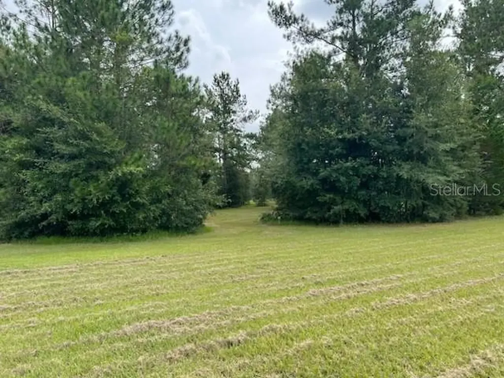 12482 161st Road Live Oak FL 32060