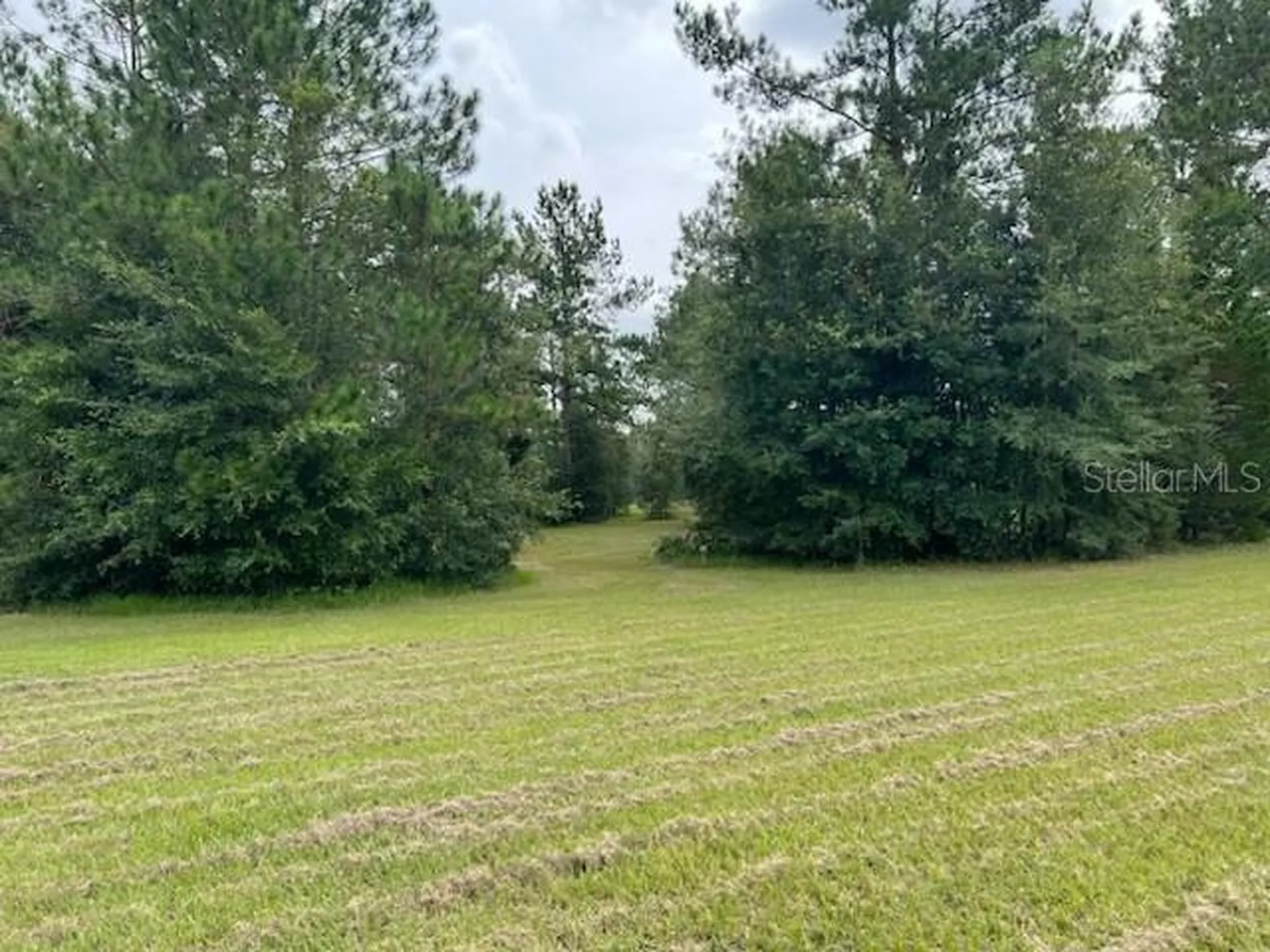 12482 161st Road Live Oak FL 32060