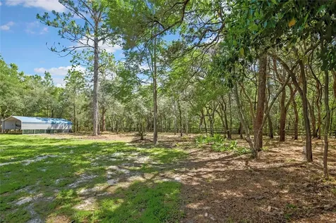 4797 N Lena Drive Beverly Hills FL 34465