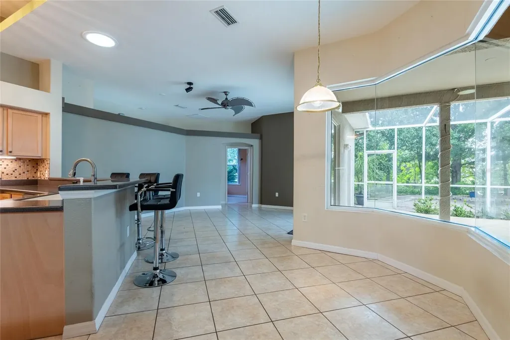 21629 Silver Bay Place Land O Lakes FL 34637