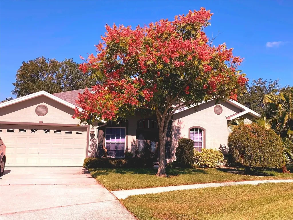 21629 Silver Bay Place Land O Lakes FL 34637