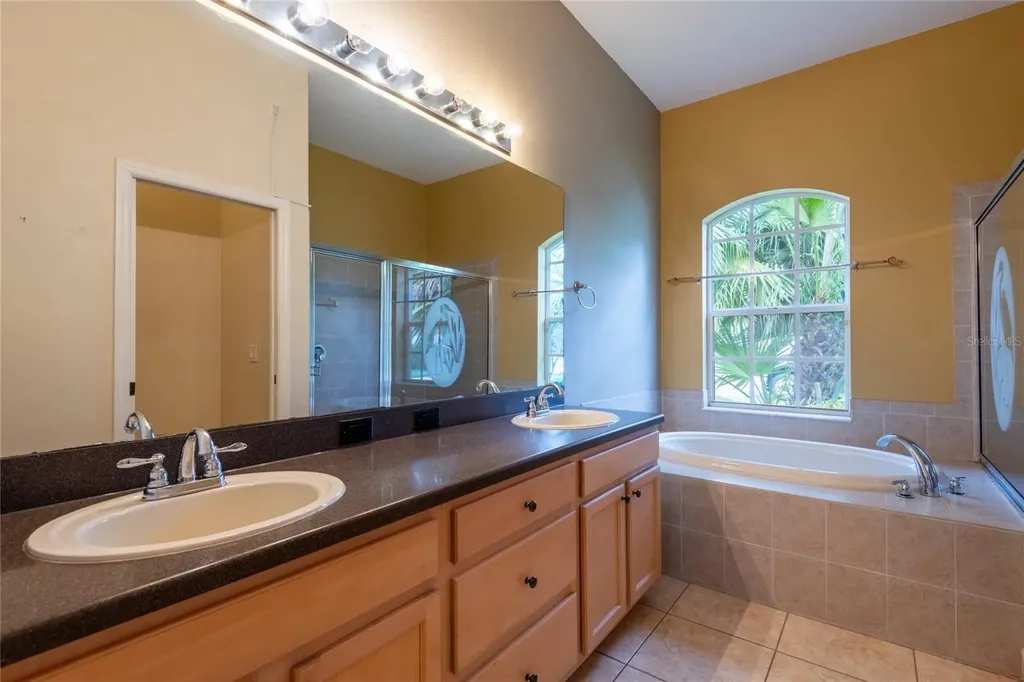 21629 Silver Bay Place Land O Lakes FL 34637