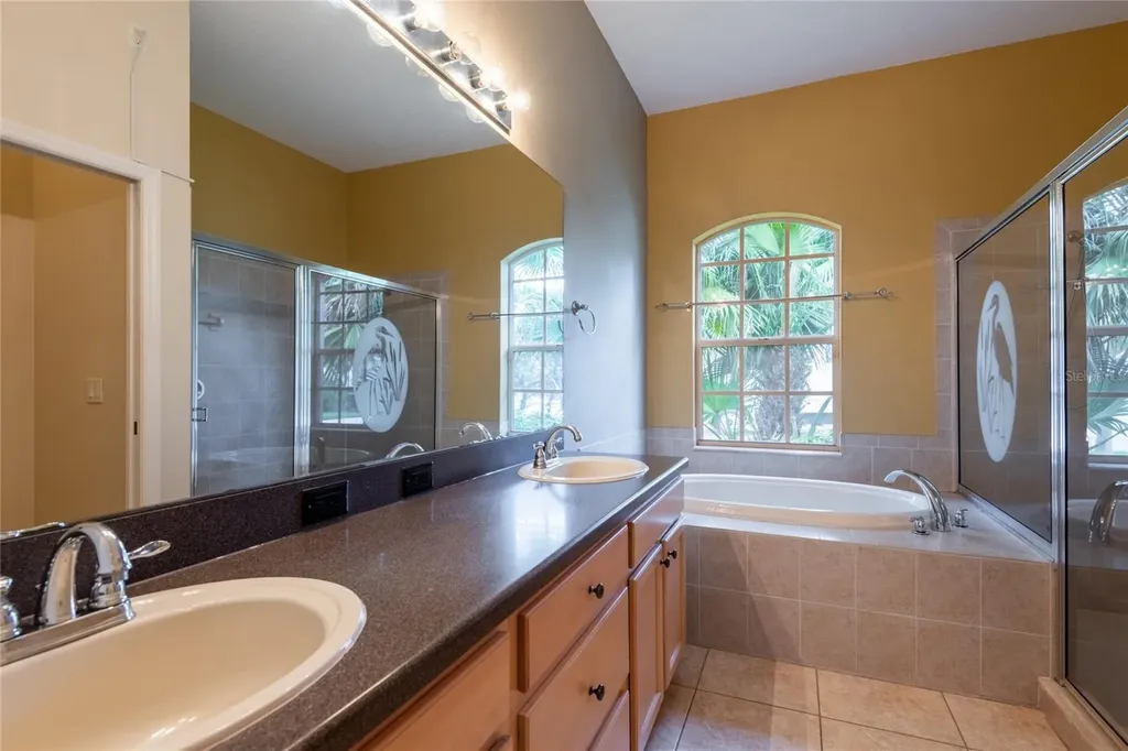 21629 Silver Bay Place Land O Lakes FL 34637