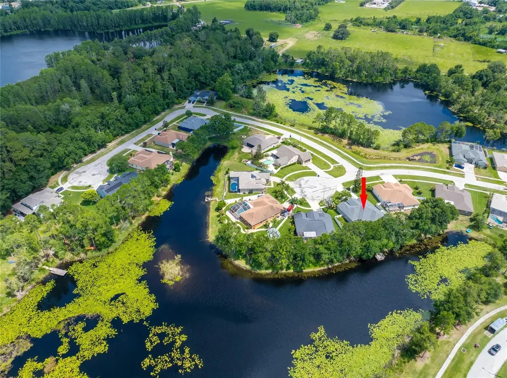21629 Silver Bay Place Land O Lakes FL 34637