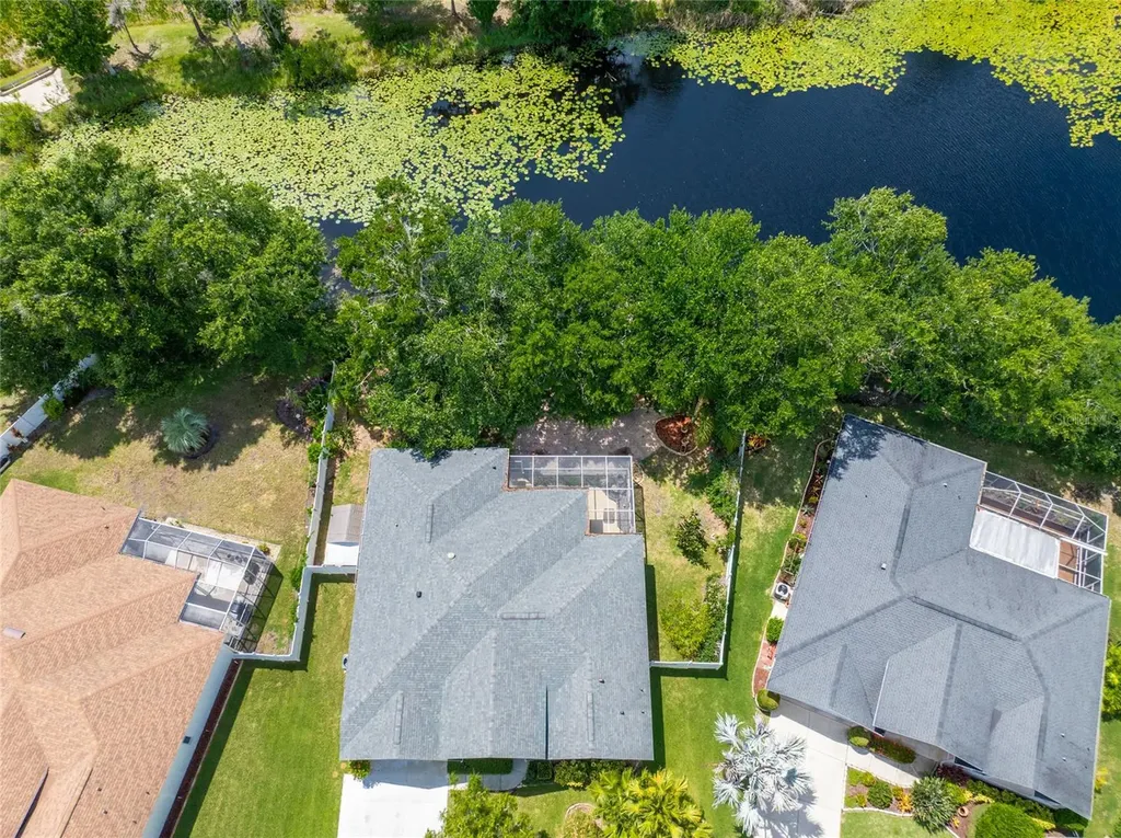 21629 Silver Bay Place Land O Lakes FL 34637