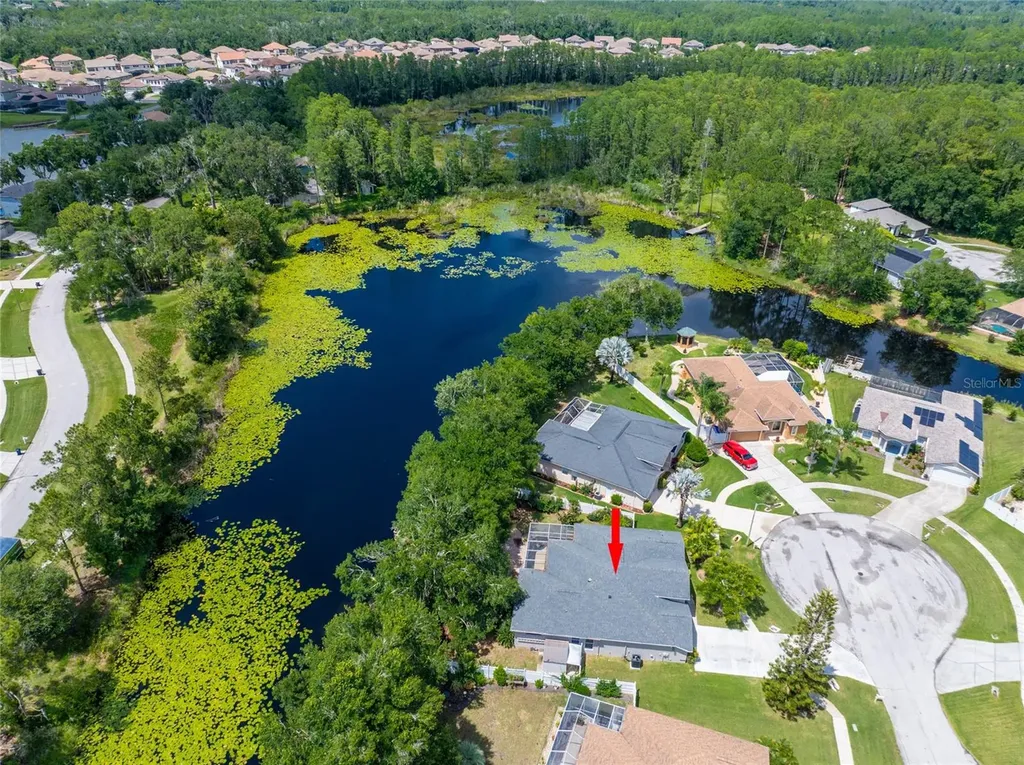 21629 Silver Bay Place Land O Lakes FL 34637