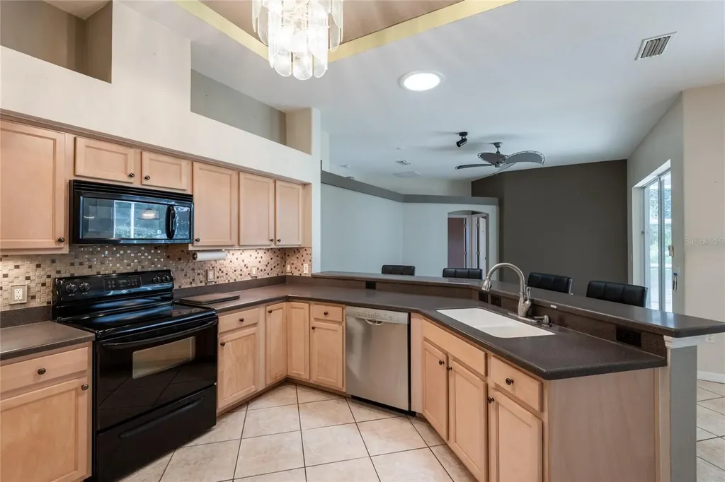 21629 Silver Bay Place Land O Lakes FL 34637
