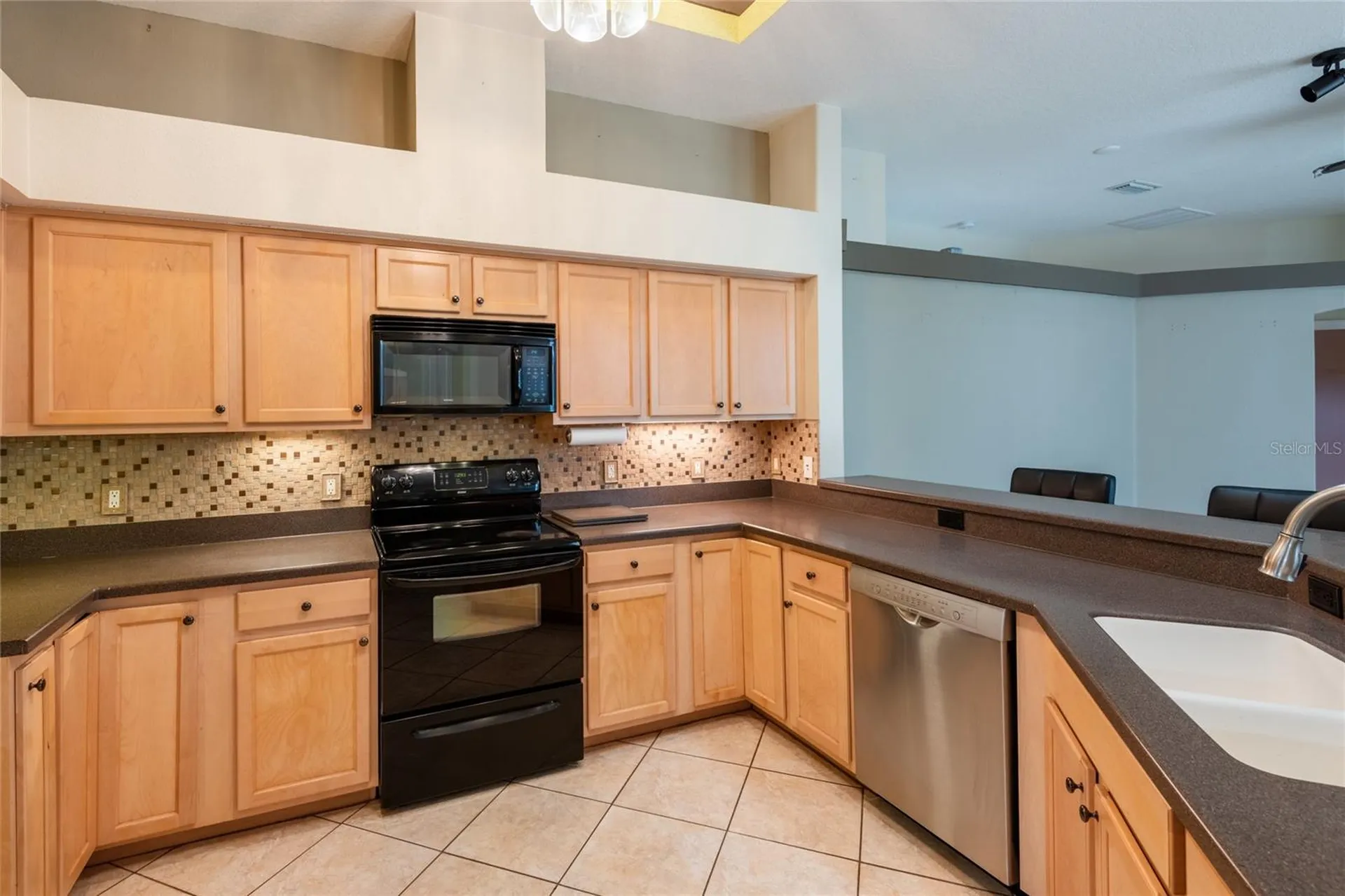 21629 Silver Bay Place Land O Lakes FL 34637