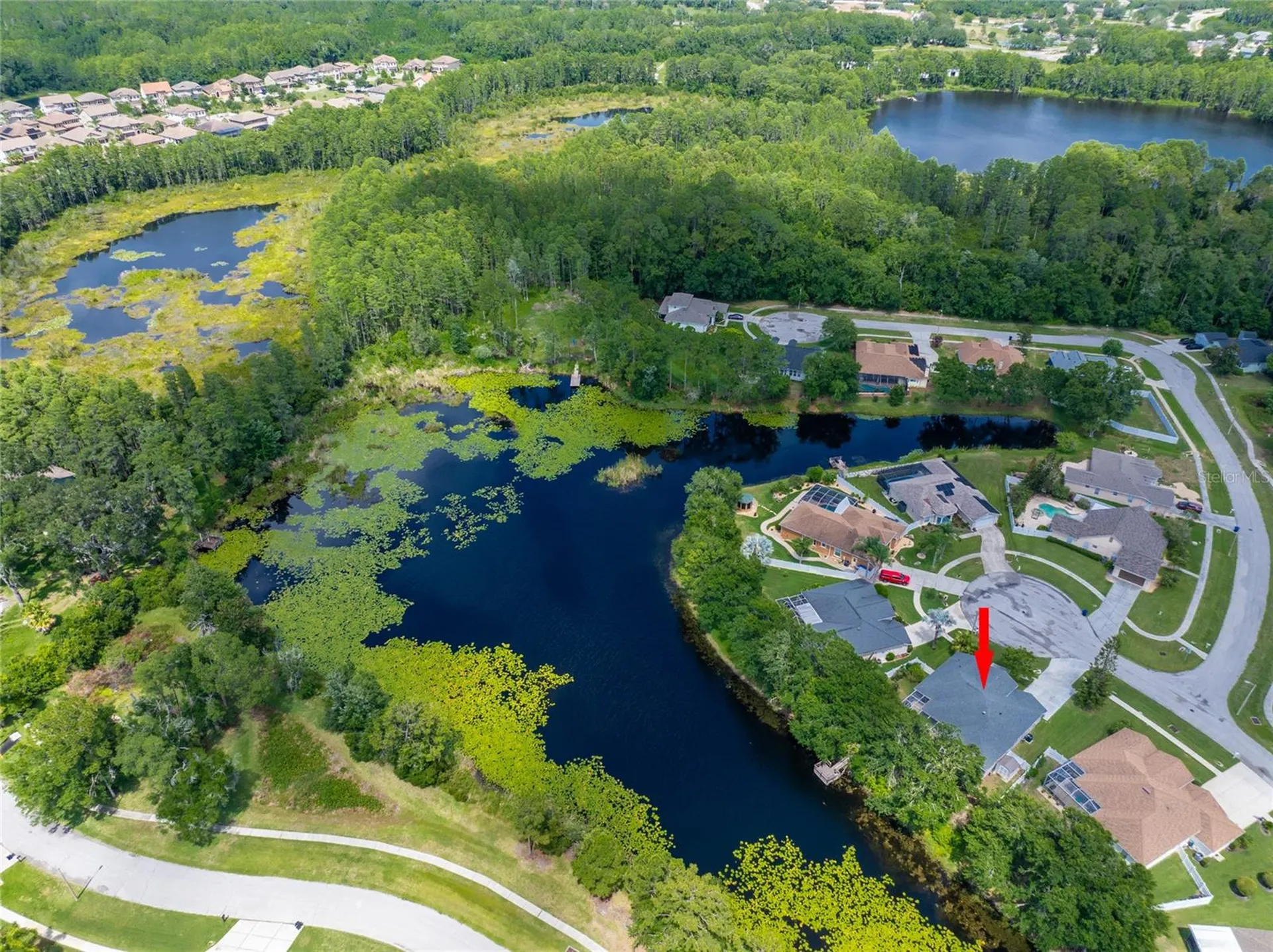 21629 Silver Bay Place Land O Lakes FL 34637