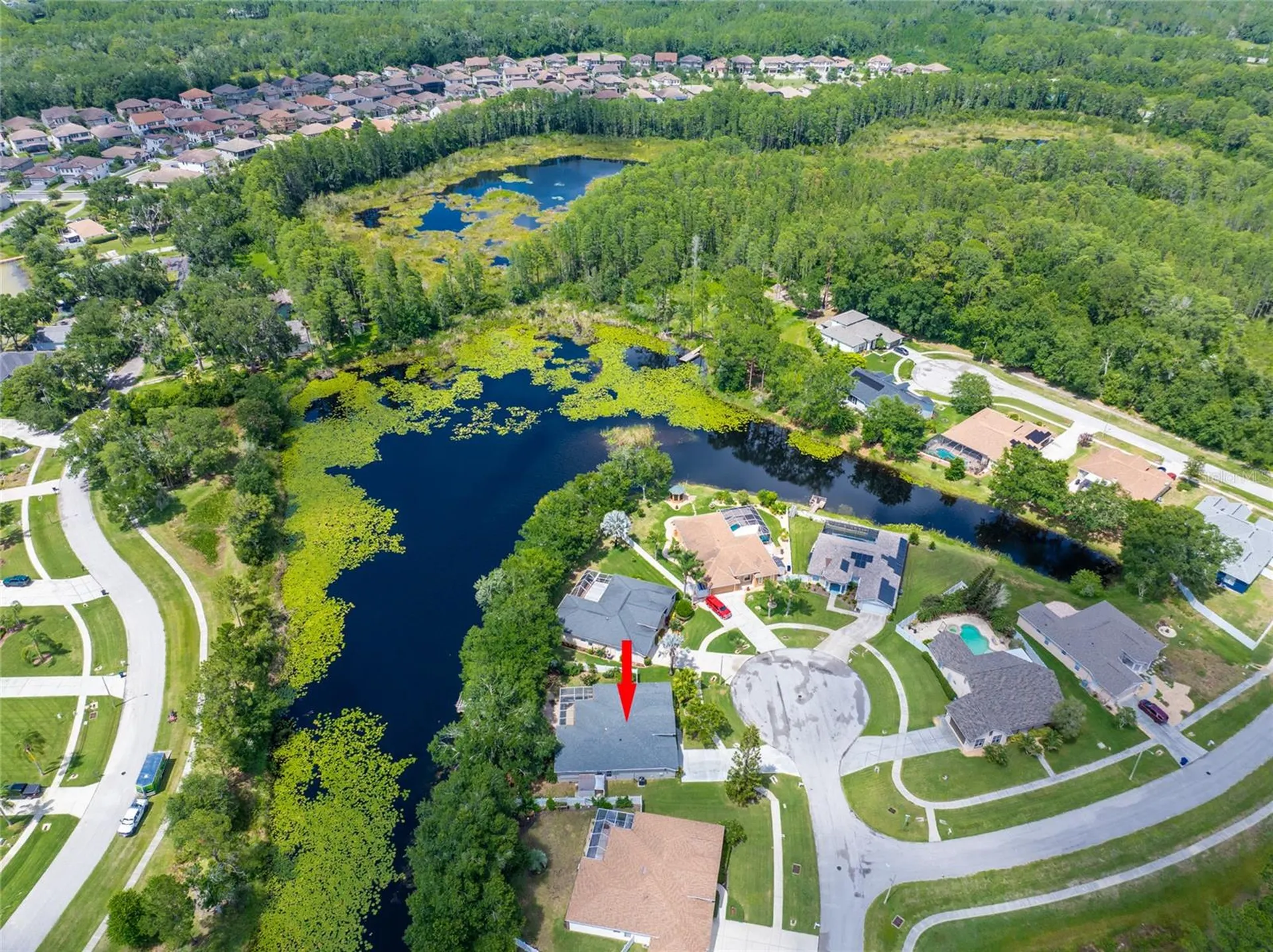 21629 Silver Bay Place Land O Lakes FL 34637