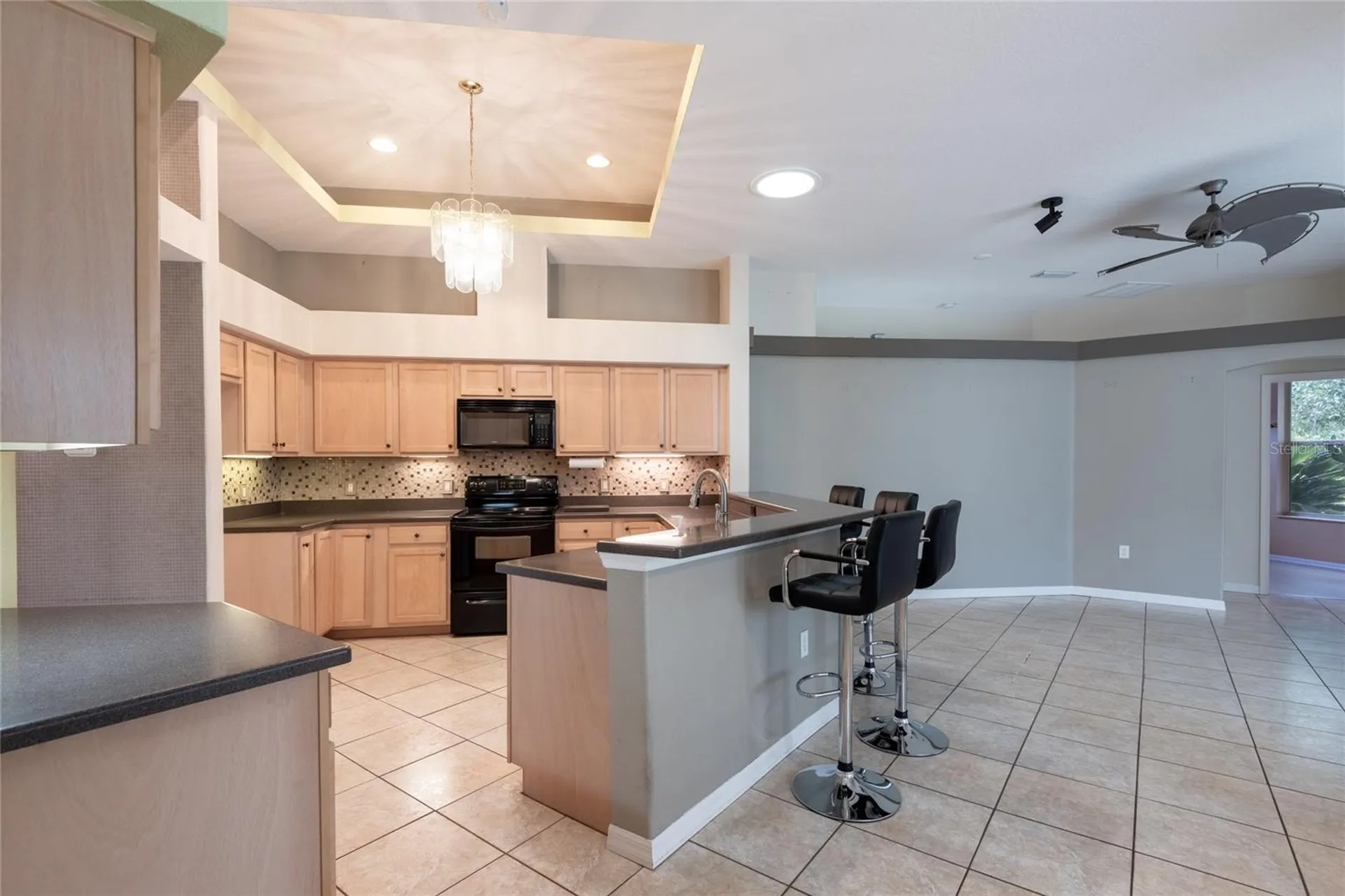 21629 Silver Bay Place Land O Lakes FL 34637