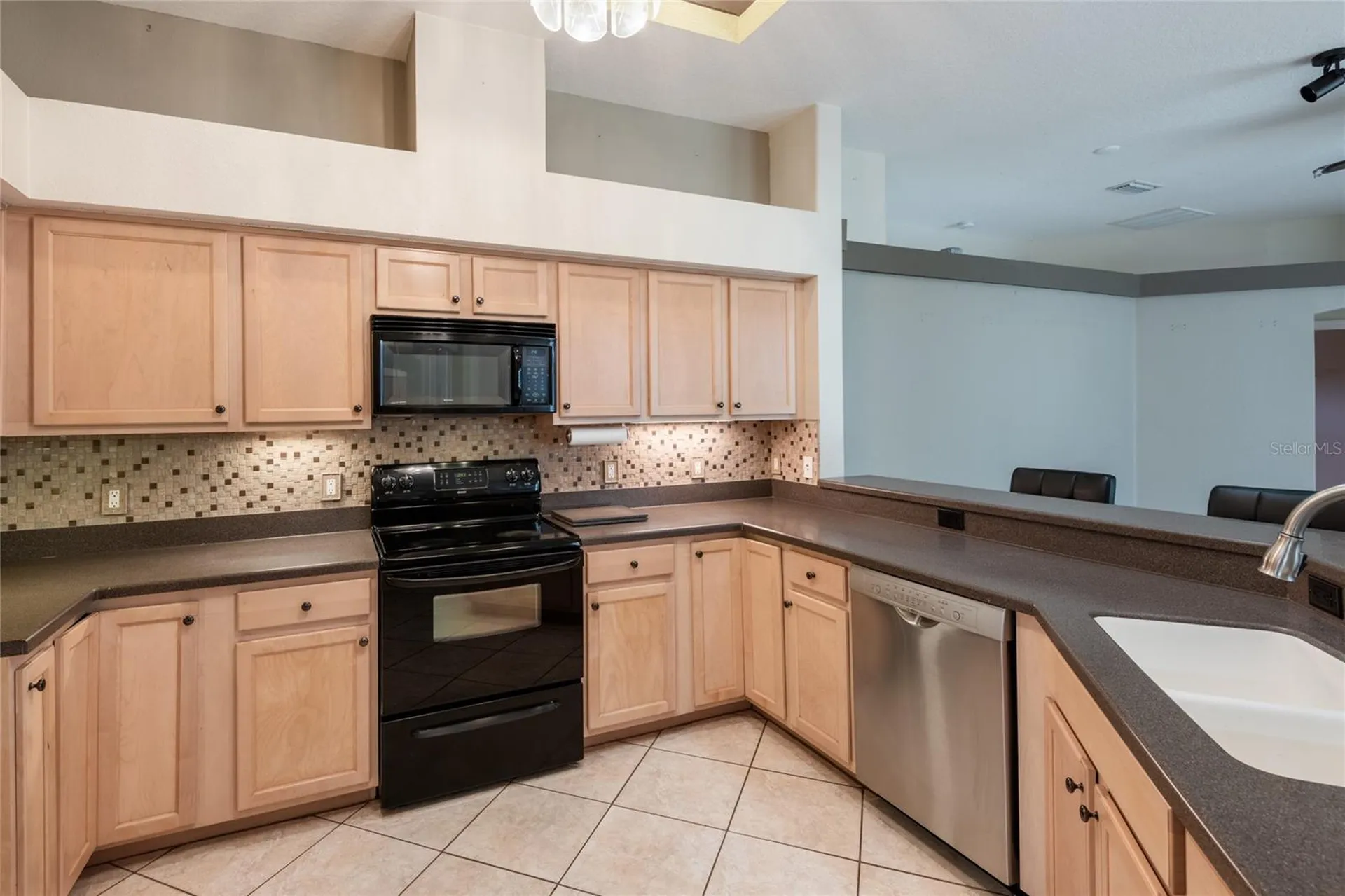21629 Silver Bay Place Land O Lakes FL 34637