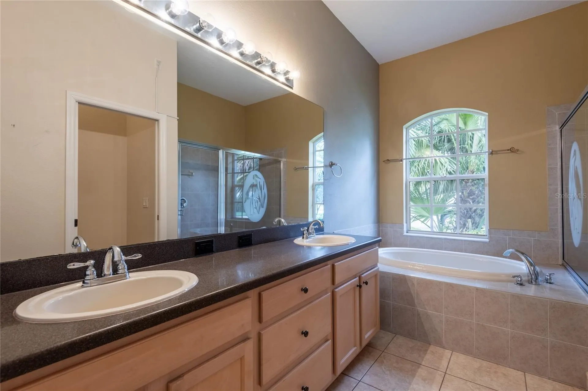 21629 Silver Bay Place Land O Lakes FL 34637