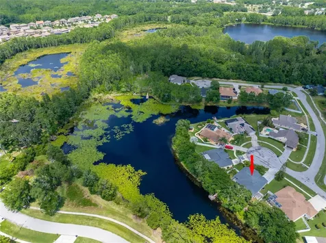 21629 Silver Bay Place Land O Lakes FL 34637