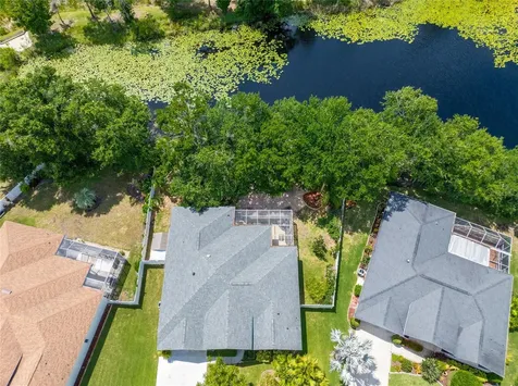 21629 Silver Bay Place Land O Lakes FL 34637