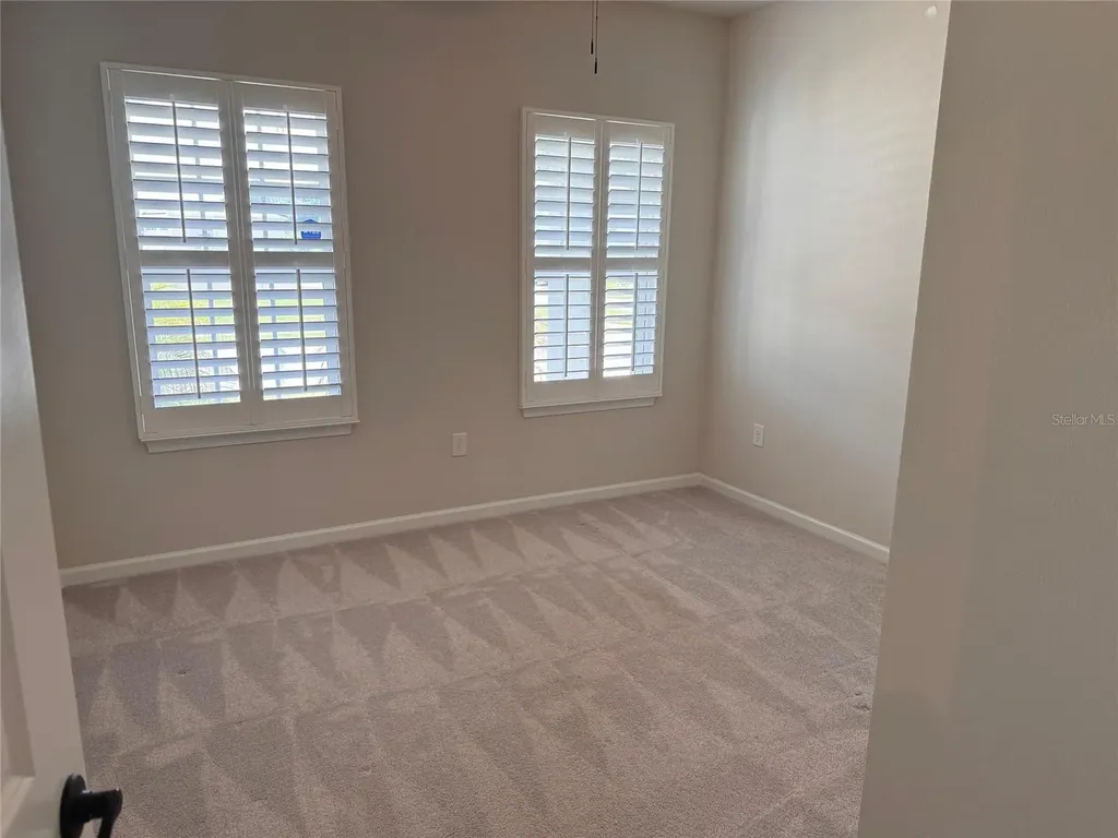 18217 Falling Pine Needle Lane Land O Lakes FL 34638