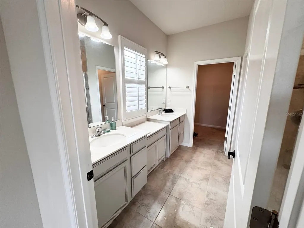 18217 Falling Pine Needle Lane Land O Lakes FL 34638