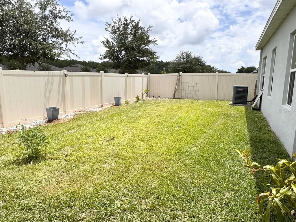18217 Falling Pine Needle Lane Land O Lakes FL 34638