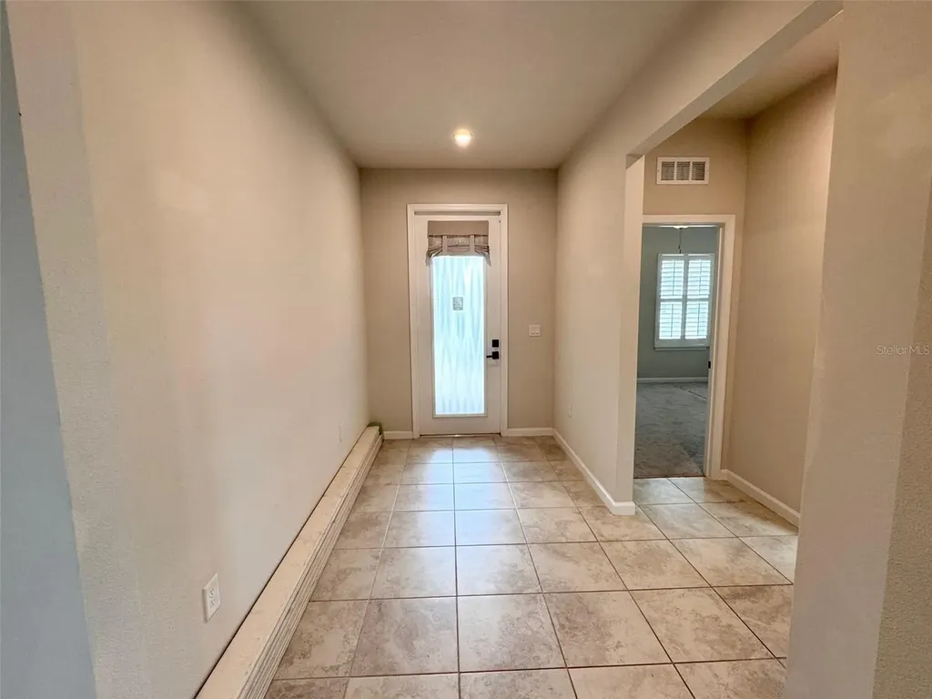 18217 Falling Pine Needle Lane Land O Lakes FL 34638