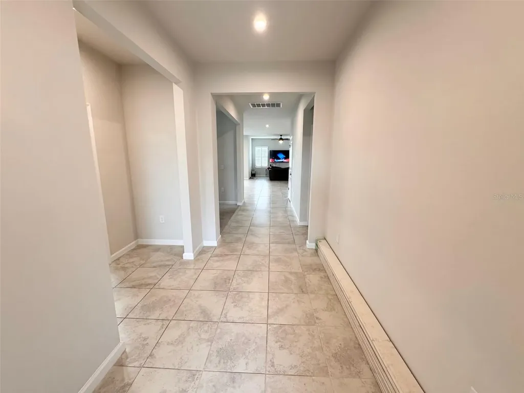 18217 Falling Pine Needle Lane Land O Lakes FL 34638