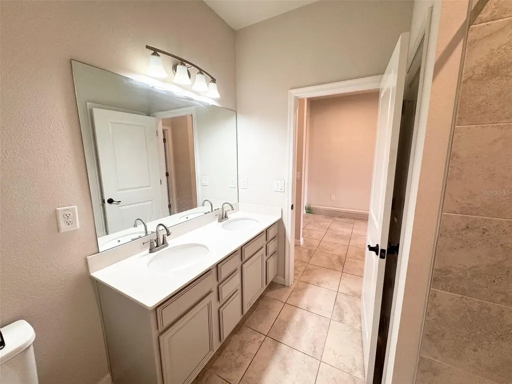 18217 Falling Pine Needle Lane Land O Lakes FL 34638