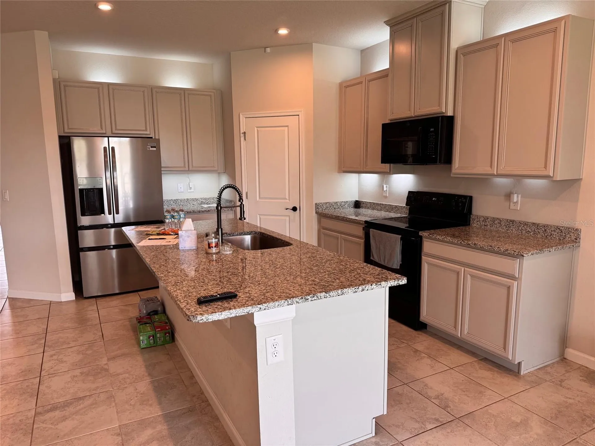 18217 Falling Pine Needle Lane Land O Lakes FL 34638