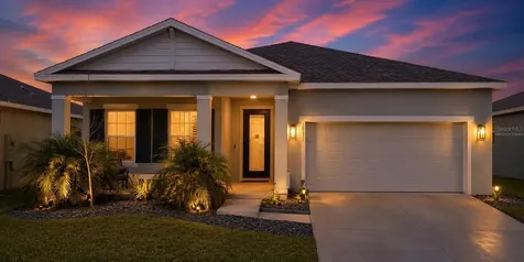 18217 Falling Pine Needle Lane Land O Lakes FL 34638