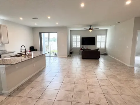 18217 Falling Pine Needle Lane Land O Lakes FL 34638