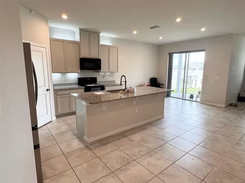18217 Falling Pine Needle Lane Land O Lakes FL 34638