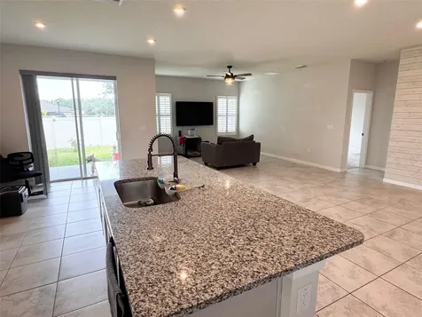 18217 Falling Pine Needle Lane Land O Lakes FL 34638