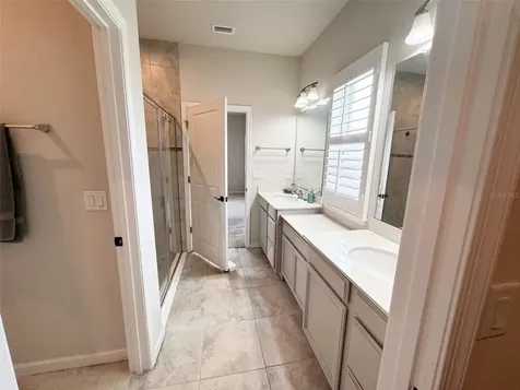 18217 Falling Pine Needle Lane Land O Lakes FL 34638