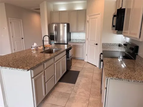18217 Falling Pine Needle Lane Land O Lakes FL 34638