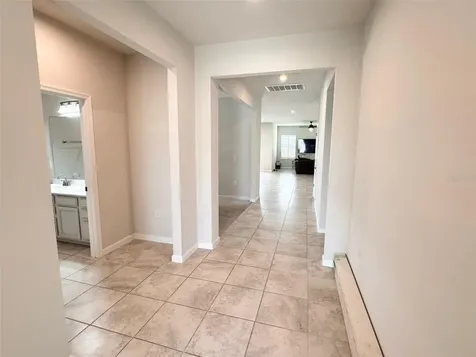 18217 Falling Pine Needle Lane Land O Lakes FL 34638