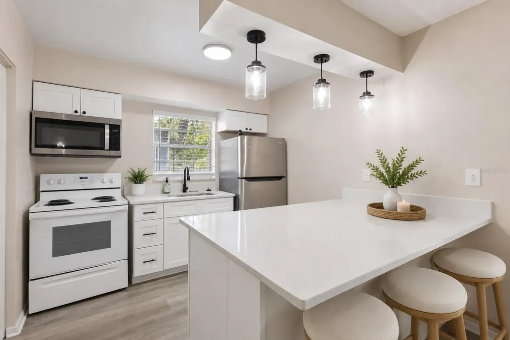 1228 E Muriel Street Orlando FL 32806