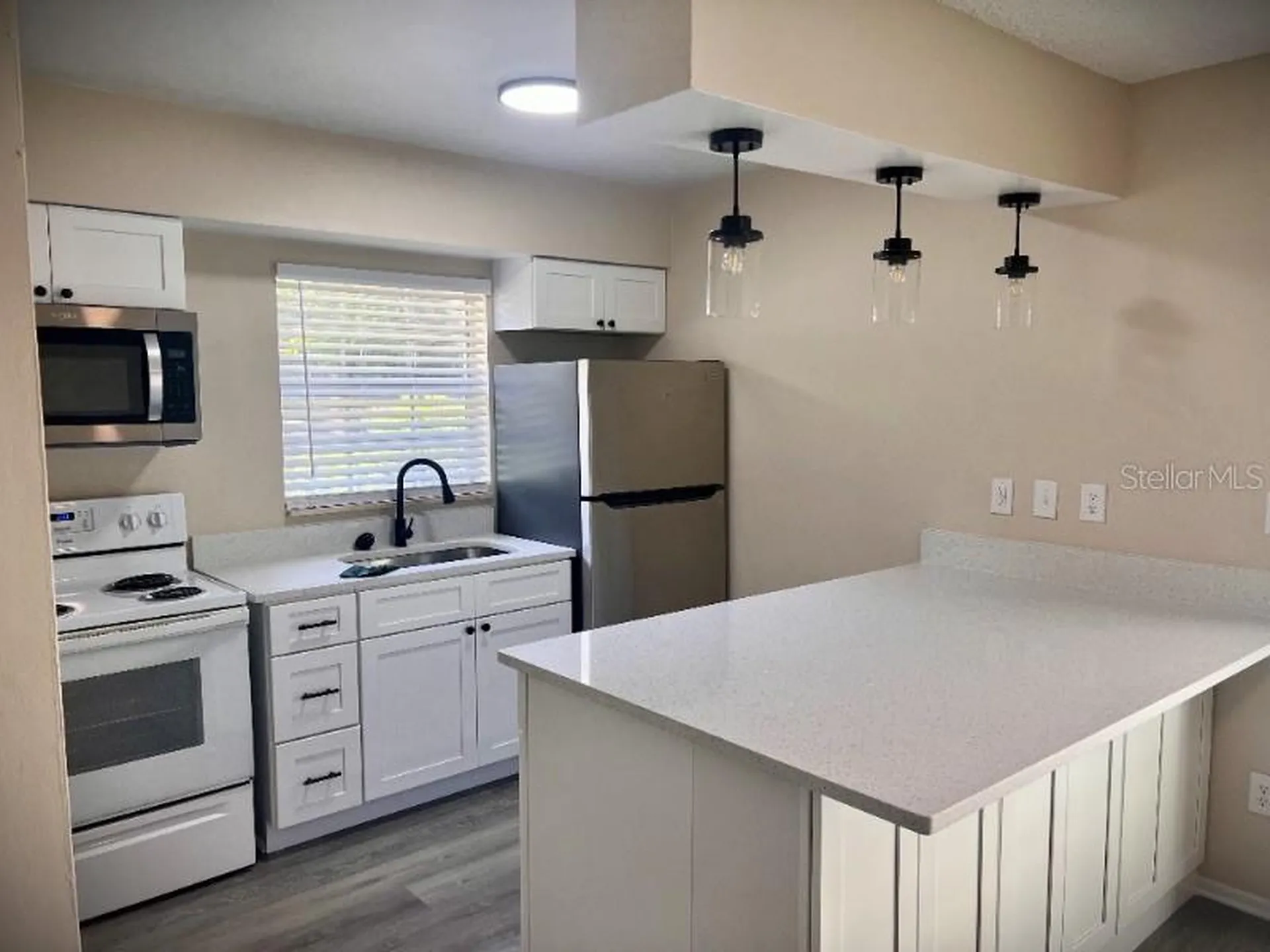 1228 E Muriel Street Orlando FL 32806