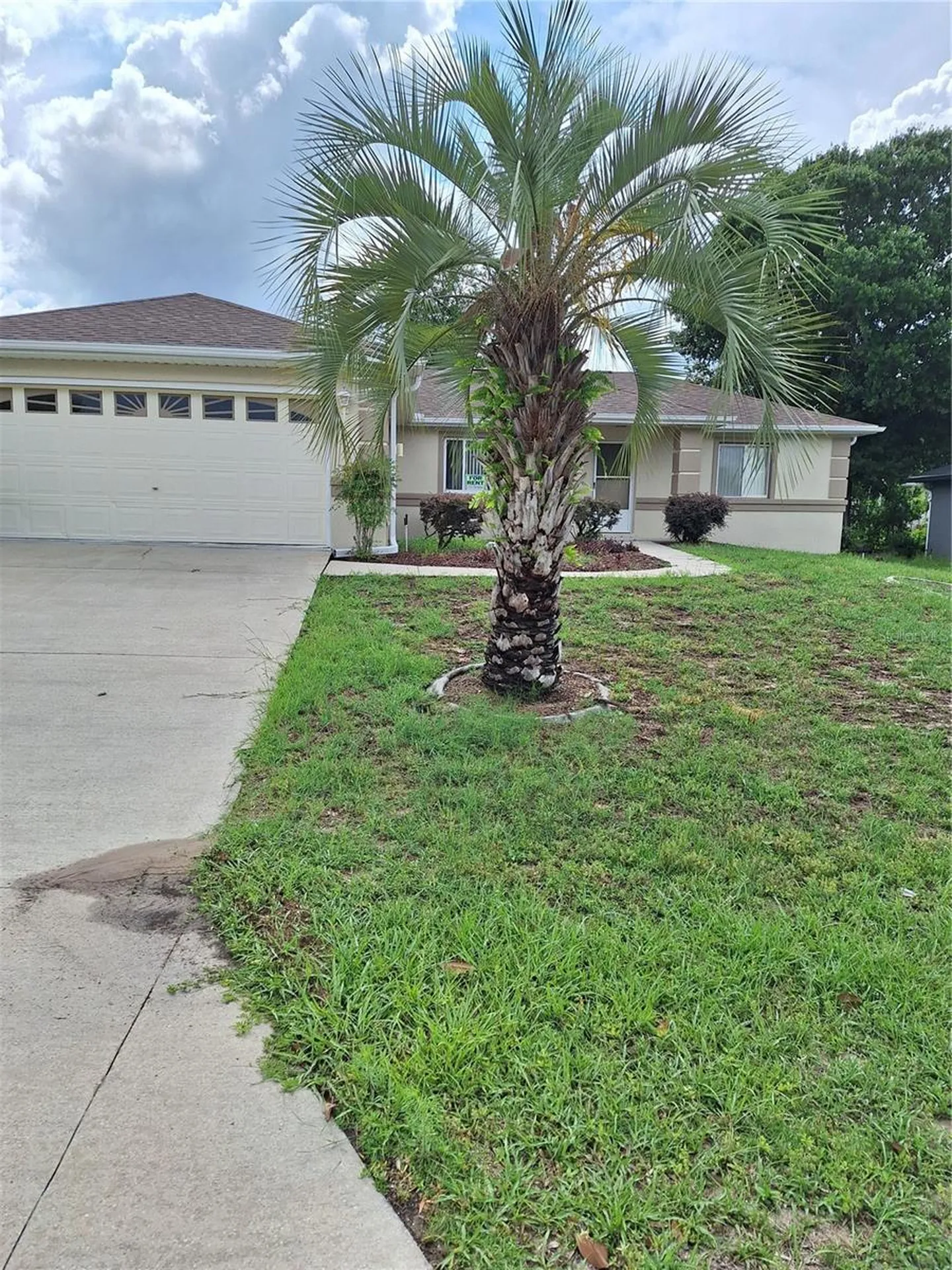 6035 SW 98th Street Road Ocala FL 34476