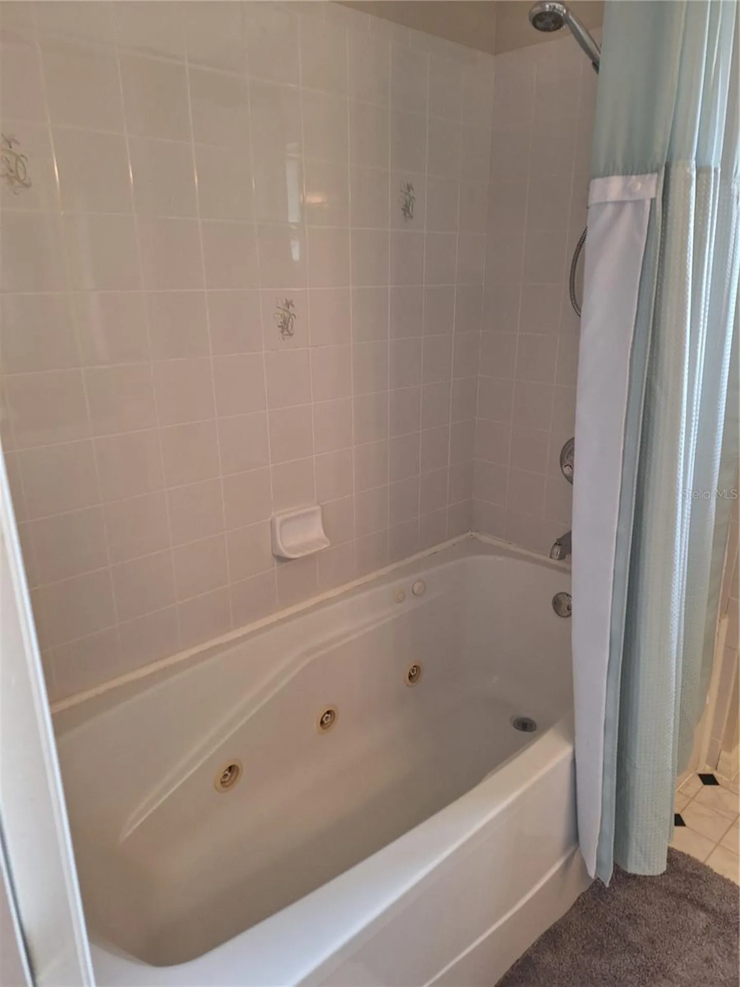 6035 SW 98th Street Road Ocala FL 34476