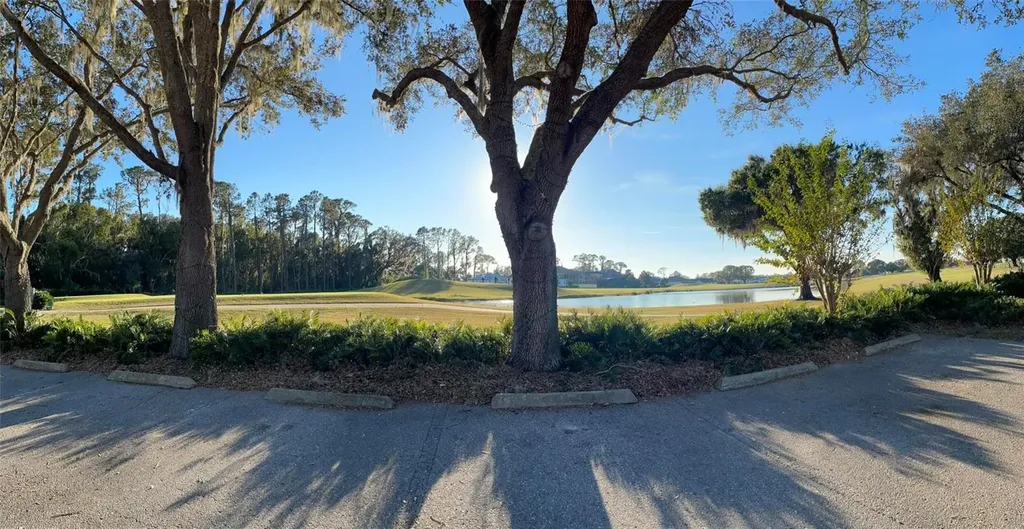 17708 Sawgrass Run Deer Island FL 32778