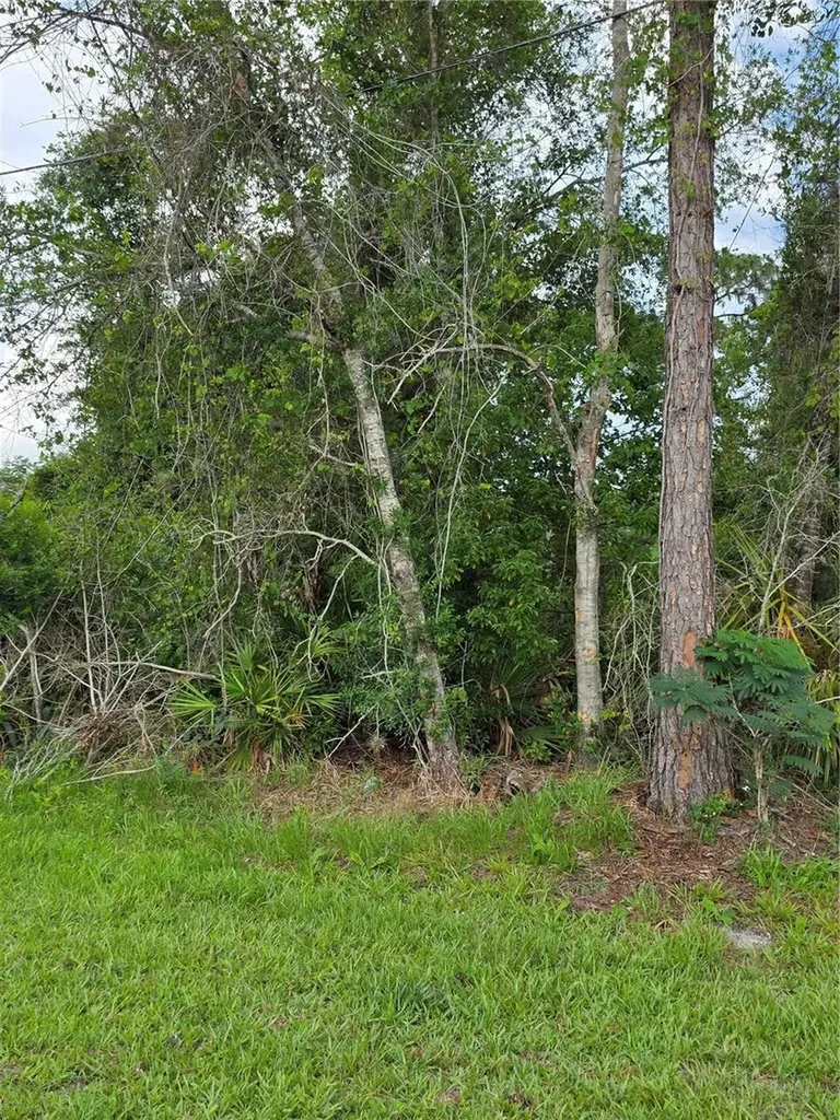 3227 Urmey Avenue Deltona FL 32738
