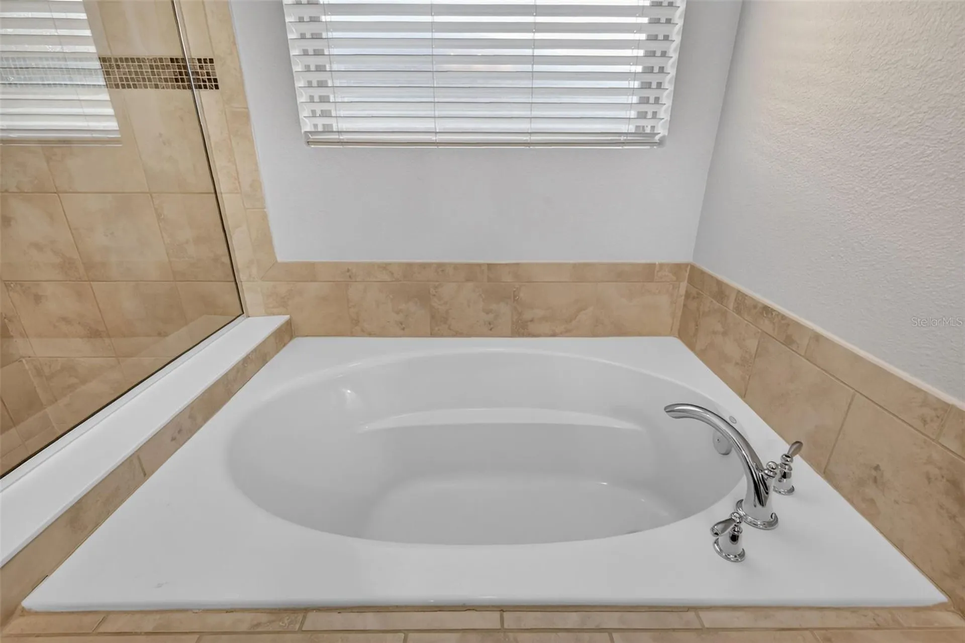 30115 Cheval Street Mount Dora FL 32757