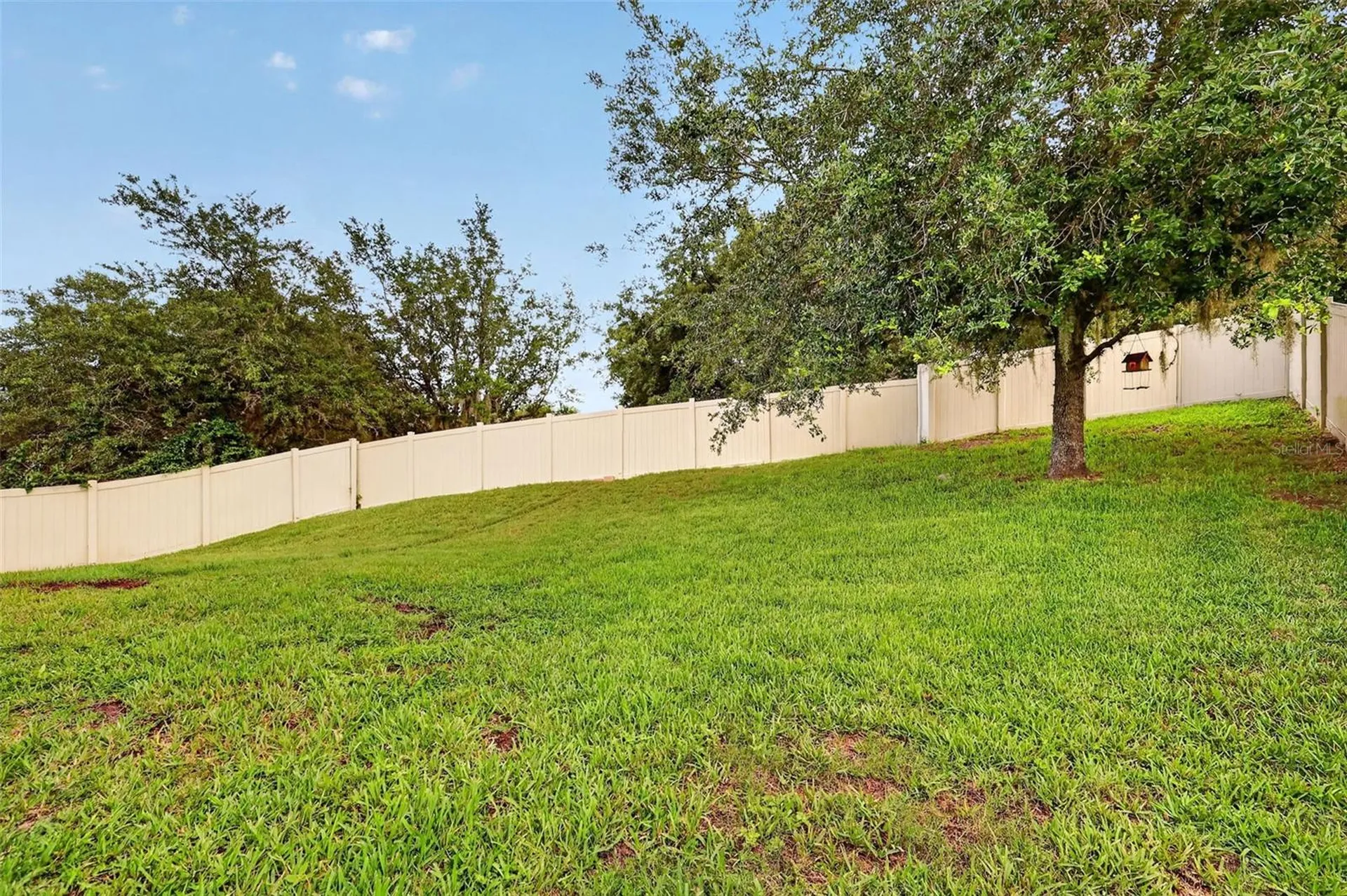 30115 Cheval Street Mount Dora FL 32757