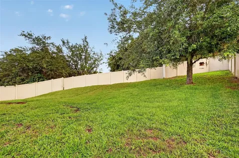 30115 Cheval Street Mount Dora FL 32757