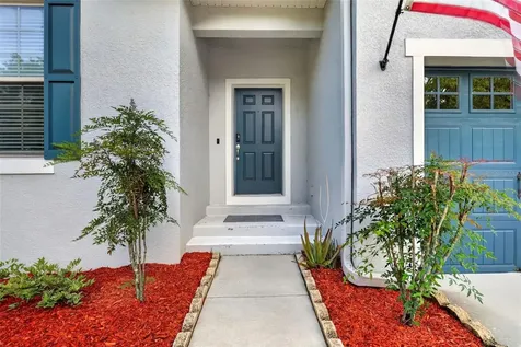 30115 Cheval Street Mount Dora FL 32757