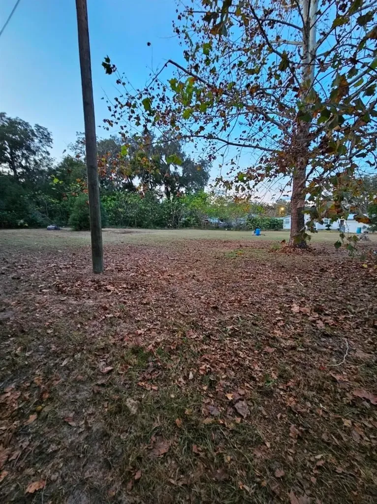 13585 SE 119th Street Ocklawaha FL 32179