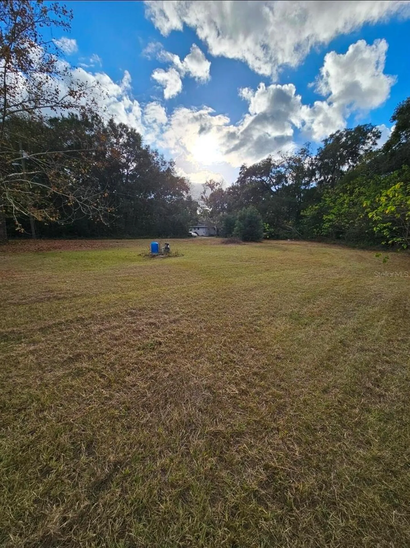 13585 SE 119th Street Ocklawaha FL 32179