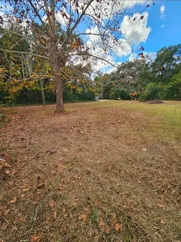13585 SE 119th Street Ocklawaha FL 32179
