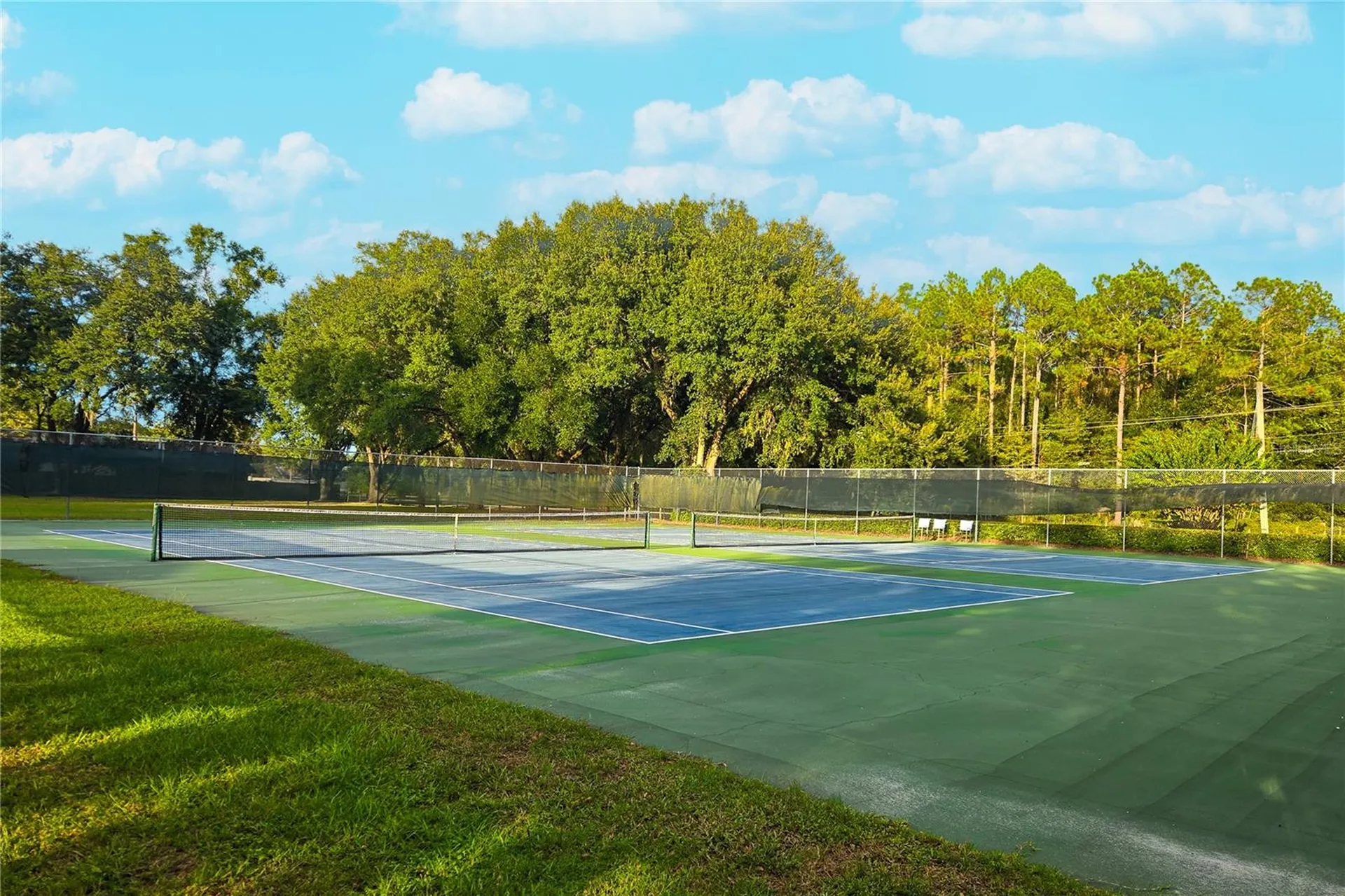 3758 NW 56th Lane Gainesville FL 32653
