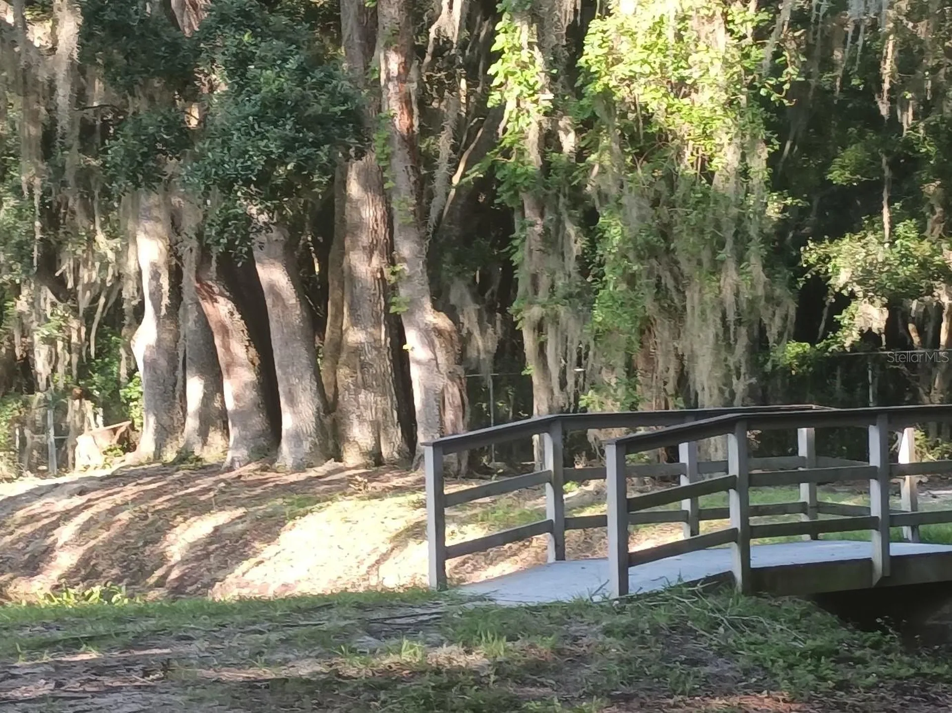 3758 NW 56th Lane Gainesville FL 32653