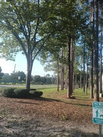 3758 NW 56th Lane Gainesville FL 32653