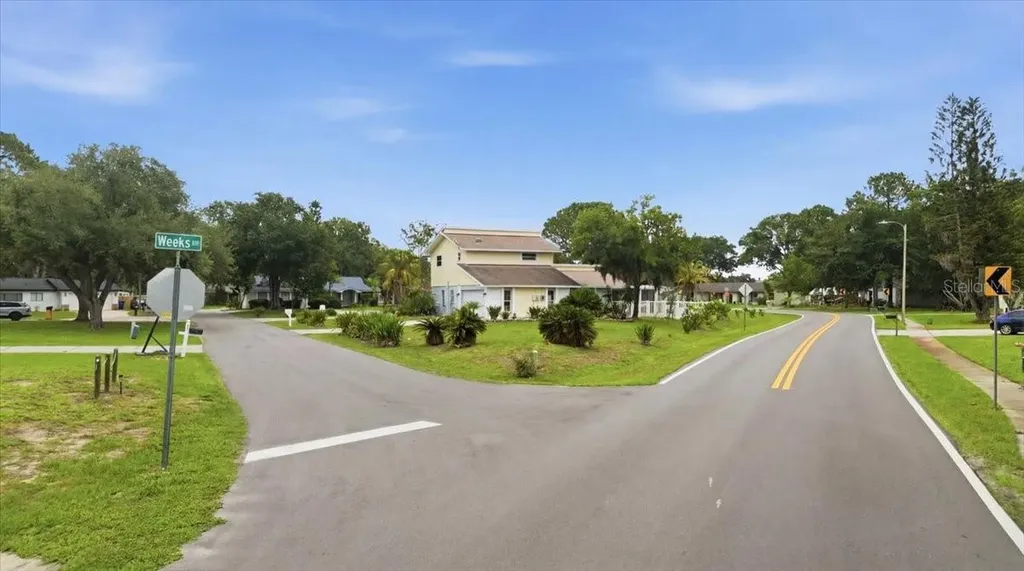 3235 Silkwood Loop Land O Lakes FL 34639